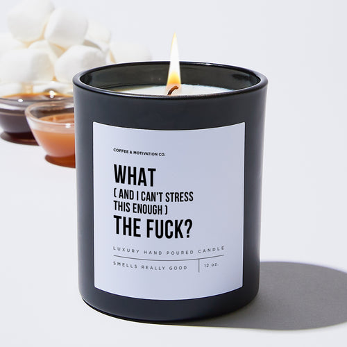 What (And I Can't Stress This Enough) The Fuck? - Black Luxury Candle 62 Hours