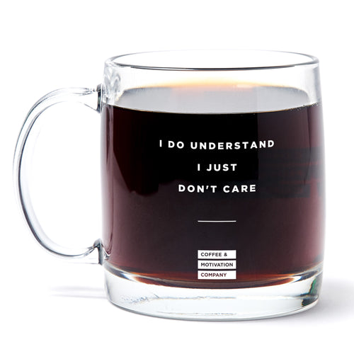 I Do Understand I Just Don't Care - 13oz Double Wall Motivational Glass Coffee Mug